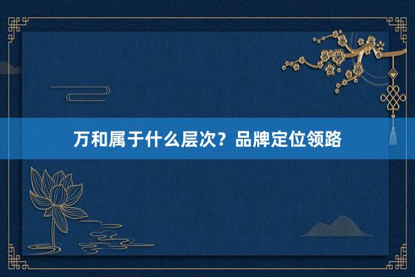 万和属于什么层次？品牌定位领路